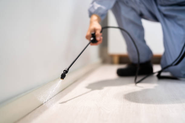 Pest Control for Restaurants in Home, WA