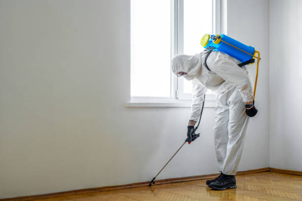 Best Exterminator Services  in Home, WA
