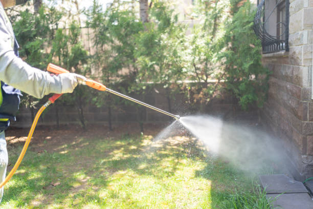 Bird Control in Home, WA
